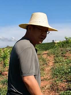 农业人叶涛，50多岁通讯人跨界搞农业，他要用1000万打造一个梦。